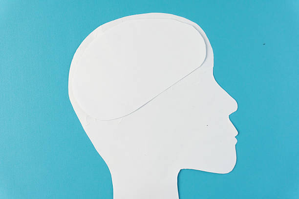 istock A clean, white head silhouette with empty brain inside it, isolated against a vibrant blue background. 2206588233