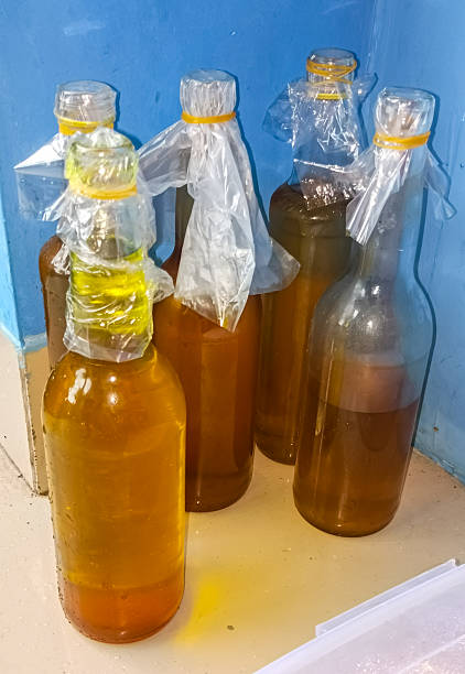 istock A bottle of cooking oil 2206591849