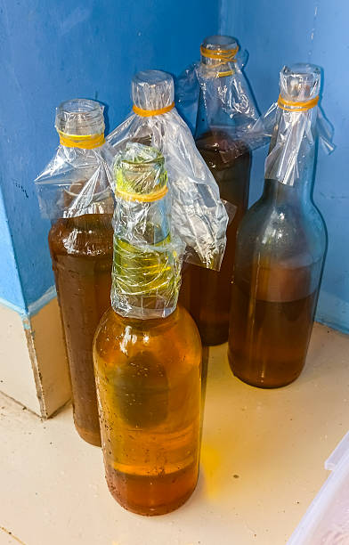 istock A bottle of cooking oil 2206591870