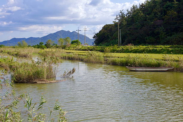 Muan County, South Korea - September 25, 2020: A small wooden boat rests along the grassy riverbank as reeds sway in the breeze, with distant mountains and power lines adding depth to the rural landscape.