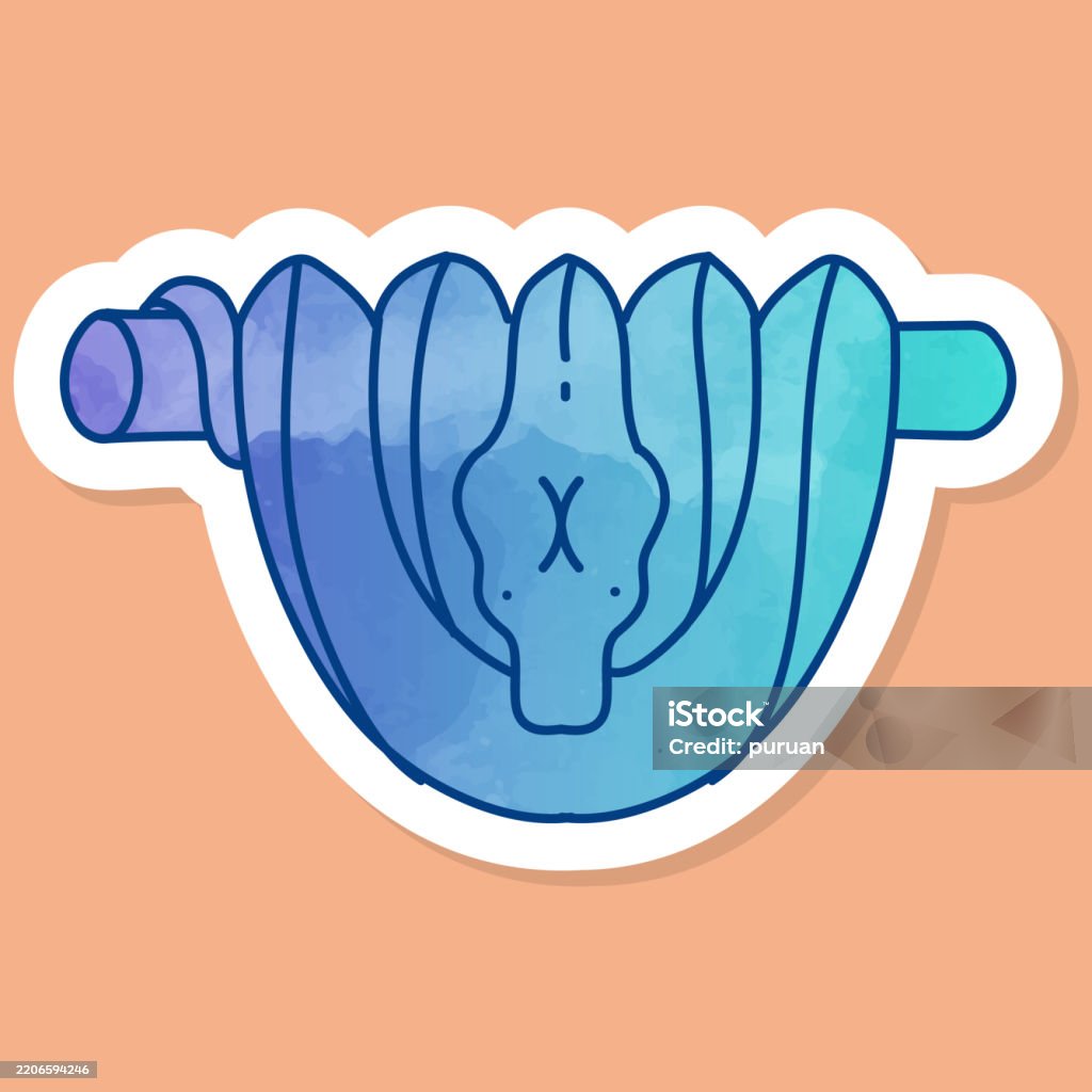 Python Colours Greens Green Tree Python Color Sticker Stock Illustration - Download Image Now ...