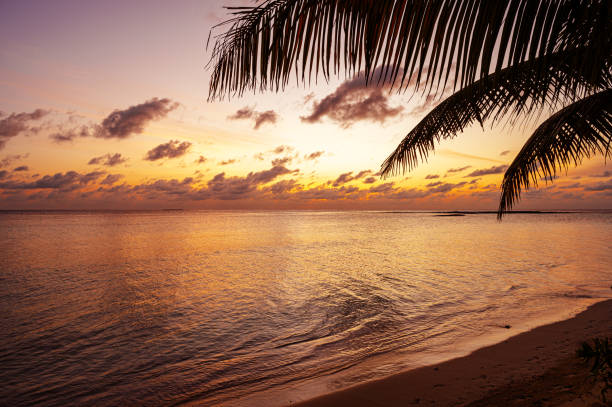 istock Twilight background of sunset over the tropical ocean 2206595344