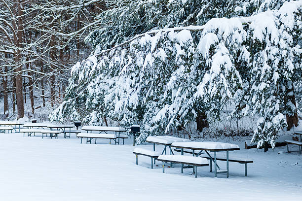 istock Snow covers the wood picnic bench in the forest 2206603206