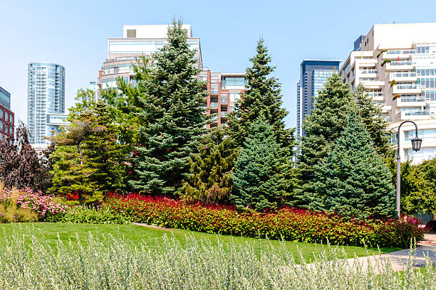 istock Landscape at Toronto Music Garden 2206603228