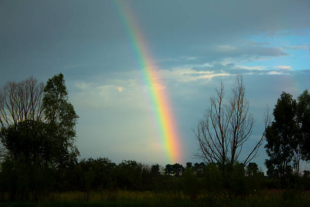 istock The rainbow is a beautiful natural phenomenon. 2206605804
