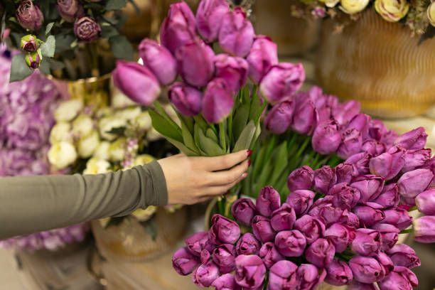 Close-up shot of unrecognizable young female florist putting tulips in basket while working in flower shop