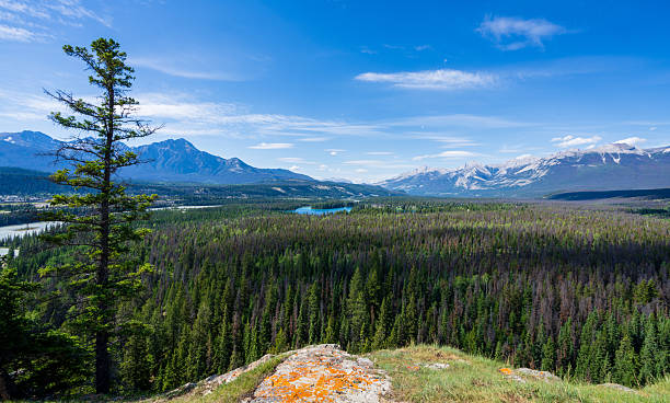 Scenic Overlook at Old Fort Point Jasper National Park