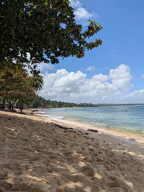 istock Idyllic beach in the Philippines with soft sand and a tree-lined beach 2206610640