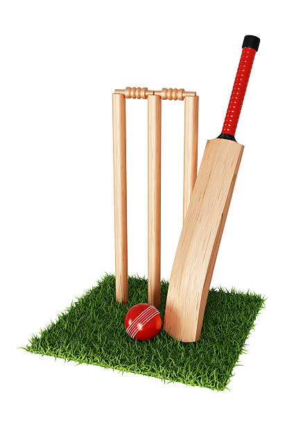 A cricketer holds the bat while waiting for the cricket ball. while practicing on the field. Soft and selective focus.