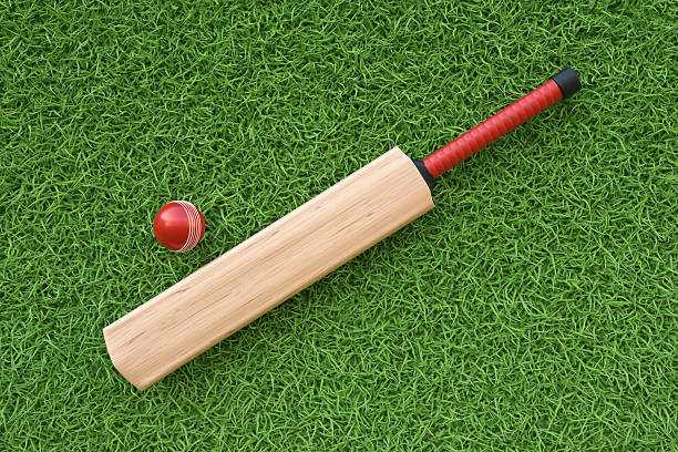 istock Cricket bat and ball on the grass 2206611072
