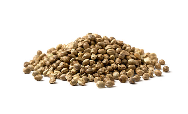 istock closeup pile of hemp seed isolated on white background 2206613941