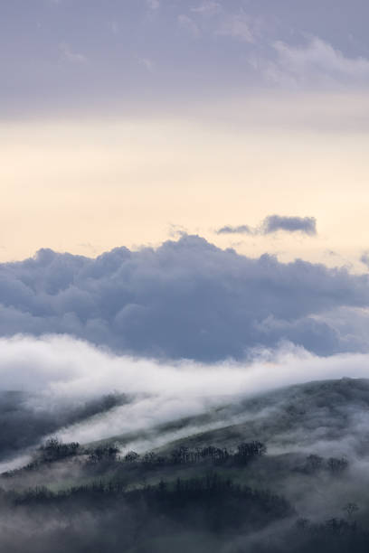 istock Veil of Serenity 2206615747