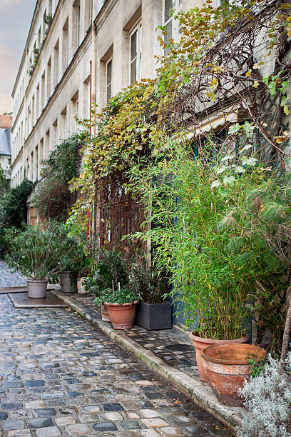 istock Greening the sidewalk in a dead end street in Paris 2206622106