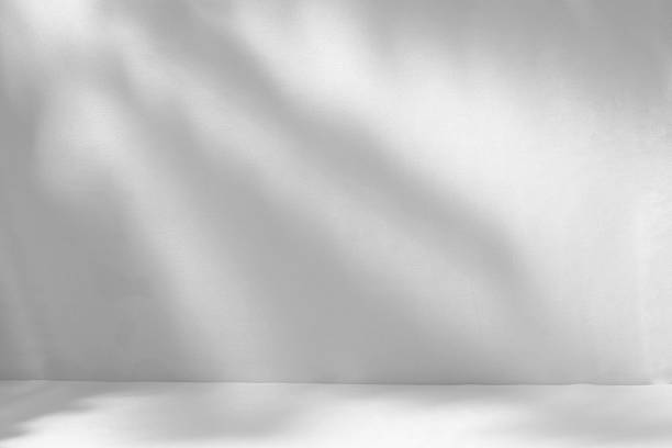 istock Abstract white studio background for product presentation. with shadows of leaves on the wall with a blurred background 2206622791