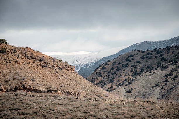 istock desert landscape in  mountains 2206623372