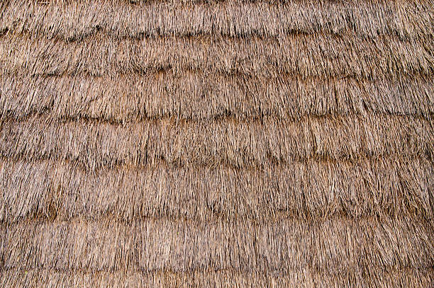 istock Traditional thatched roof showcasing craftsmanship in rural architecture during daytime 2206631095