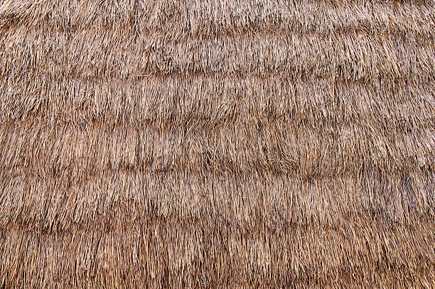 istock Natural roofing materials create a rustic aesthetic in rural architecture 2206631131