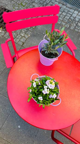 Red round table with springtime flowers and a red chair