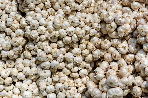 istock Fresh white garlic on market stand. 2206637258