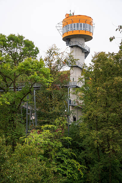 istock Observation deck at Hainich National Park, National park in Thuringia 2206639966