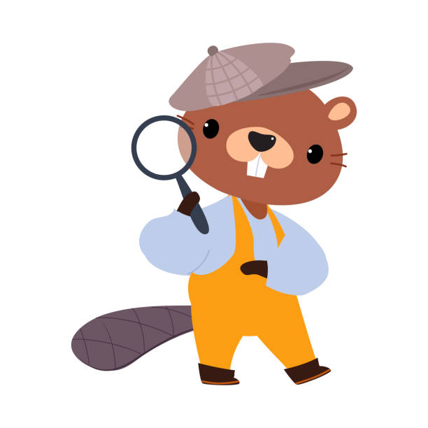 istock Beaver Animal Detective Character with Magnifier Investigating and Search for Evidence Vector Illustration 2206641205