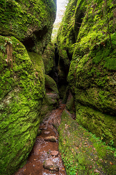 istock Dragon Gorge, Hiking area in Eisenach, Thuringia, Germany 2206641426