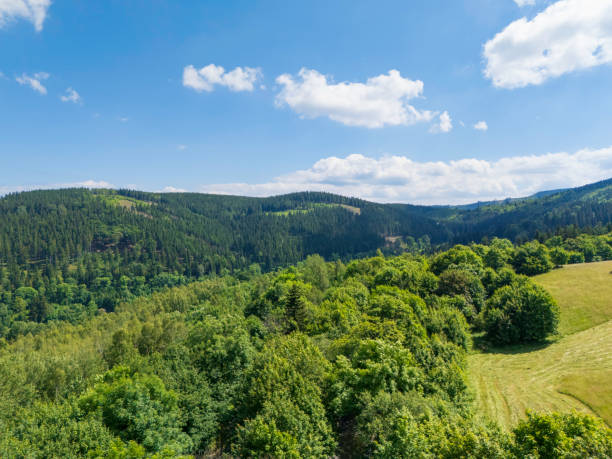 Lush green hills and forests stretch across the landscape, bathed in bright sunlight. The clear sky above is dotted with fluffy clouds. This serene natural environment reveals the beauty of untouched wilderness, inviting tranquility and exploration.