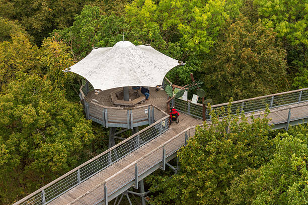 istock Boardwalk at Hainich National Park, National park in Thuringia 2206642055