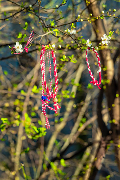 istock Red and white Martenitsa bracelets hanging on blooming tree branch in early spring sunlight. Traditional Bulgarian symbol of health, luck, arrival of spring 2206646957