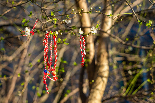 istock Martenitsa bracelets hanging on flowering tree branch under sunlight. Bulgarian spring tradition symbolizing health, luck, prosperity 2206646987