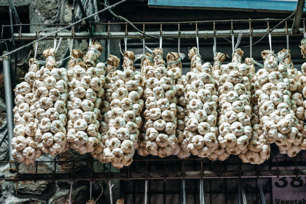 Rows of garlic bulbs tied in bundles hanging neatly in a market, showcasing their natural appeal and culinary utility, photographed in Baguio City, Philippines.