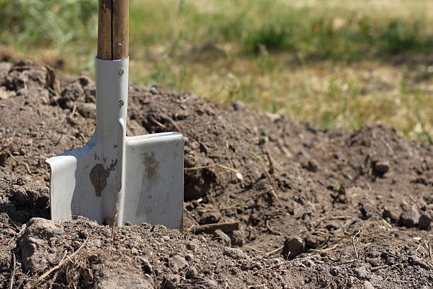 istock making a bed in the garden 2206648307