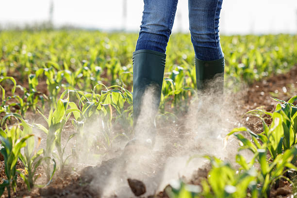 istock Farmer walking in dry agricultural field 2206648318