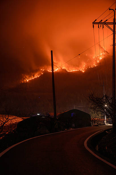 istock 2025 Sancheong-gun and Hadong-gun Wildfire 2206654737