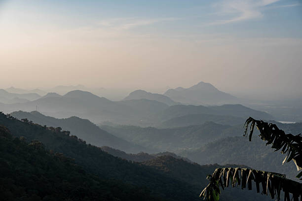 istock view on the mountains near Ella, Sri Lanka 2206655095