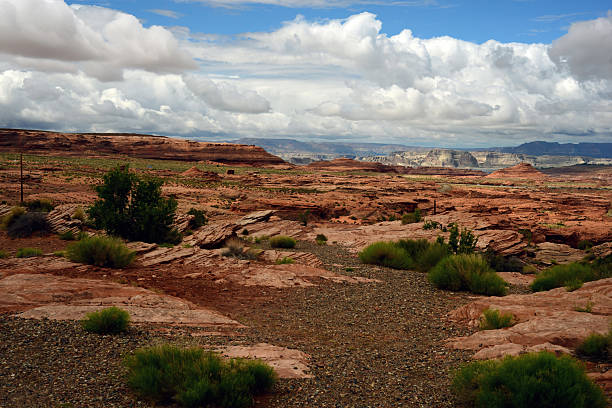 istock Lake Powell Arizona 2206658876