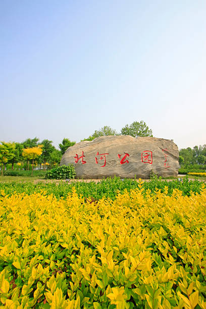 huge rock mark in a park, closeup of photo