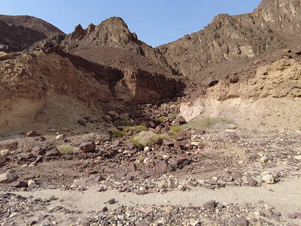 istock Serene desert landscape with rocky cliffs and sparse vegetation under clear blue sky 2206663733