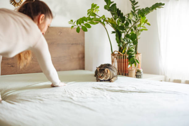 istock Woman Making Bed with Curious Cat Nearby 2206665548