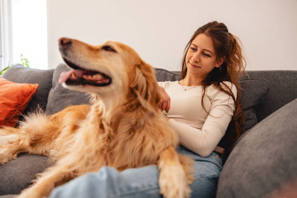 istock Woman Relaxing with Her Dog on a Sofa 2206665554