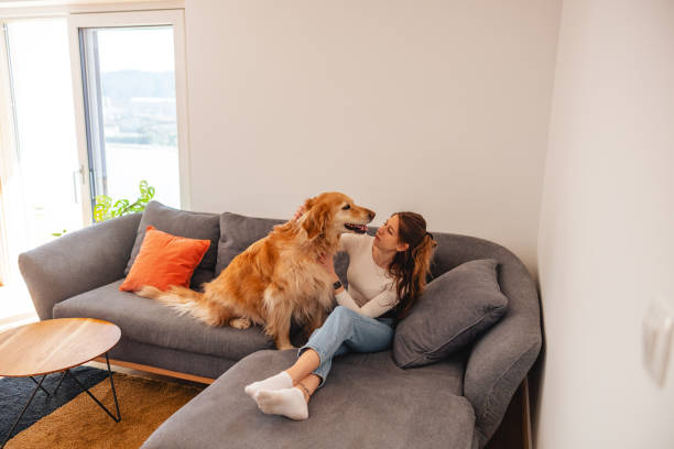 istock Woman Relaxing with Her Golden Retriever on Sofa 2206665568