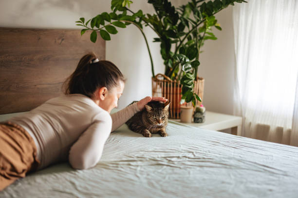 istock Woman Petting Cat on Bed in Cozy Home Setting 2206665570