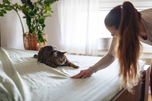 istock Woman Playing with Cat on Bedroom Bed 2206665580