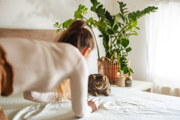 istock Woman Playing with Cat in Cozy Bedroom Setting 2206665587