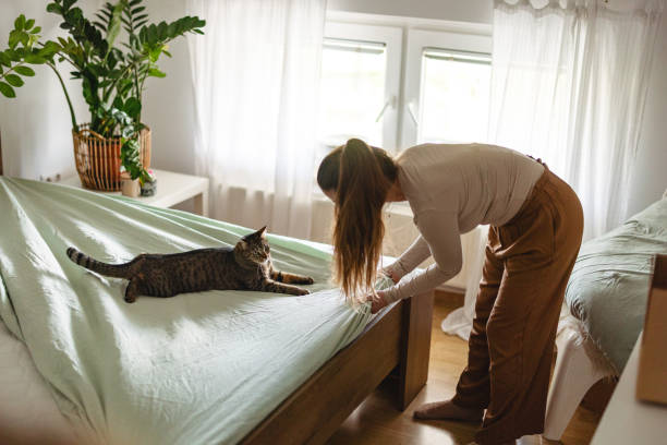 istock Woman Making Bed with Cat Relaxing on Bedspread 2206665593
