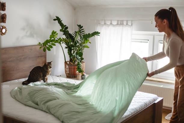 Woman Making Bed with Curious Cat in Cozy Bedroom