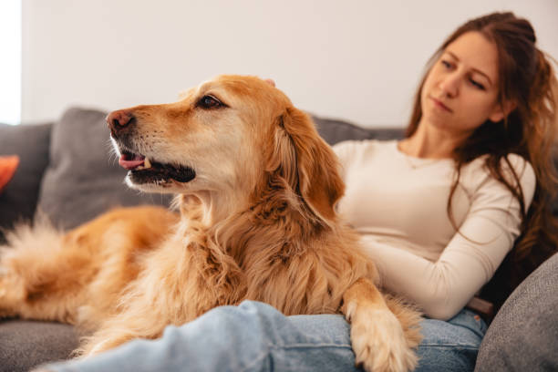 istock Woman Relaxing with Golden Retriever on Sofa 2206665607