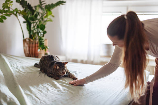 istock Woman Interacts with Cat on Bed in Cozy Home Setting 2206665609