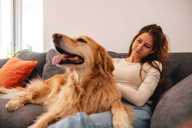 istock Woman Relaxing with Pet Dog on Sofa 2206665629