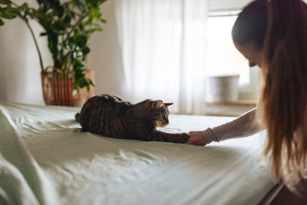 istock Woman Bonding with Tabby Cat on Bed in Cozy Home 2206665665
